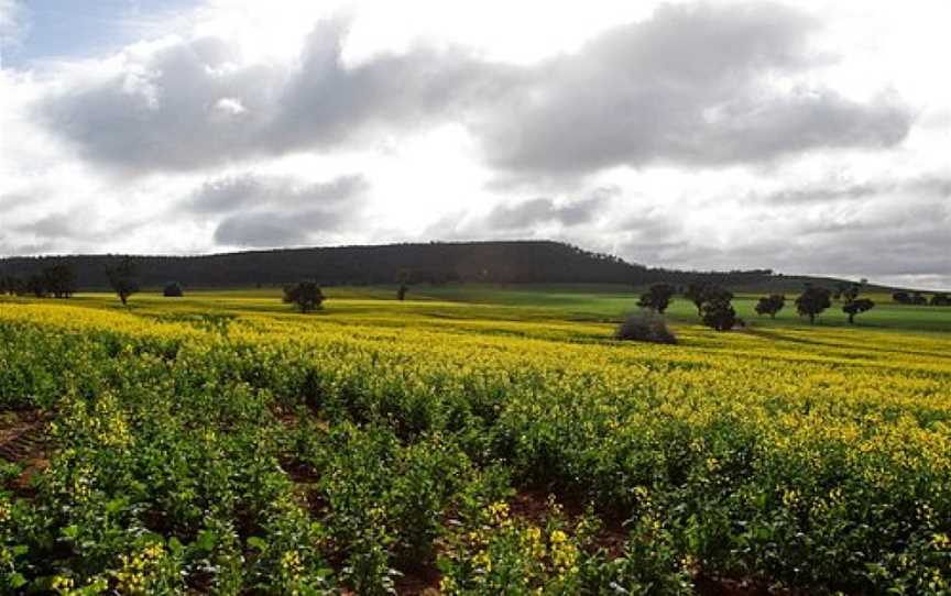 Galore Hill, Lockhart, NSW