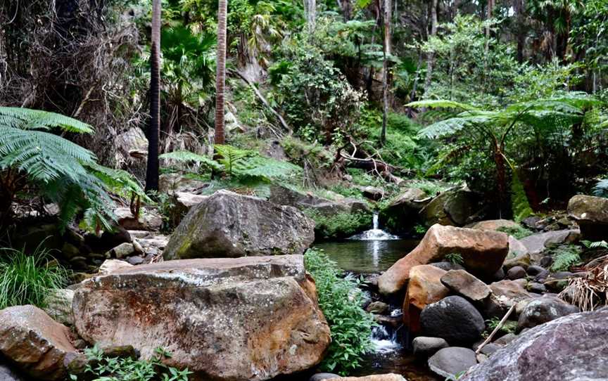 Moss Garden, Carnarvon National Park, QLD