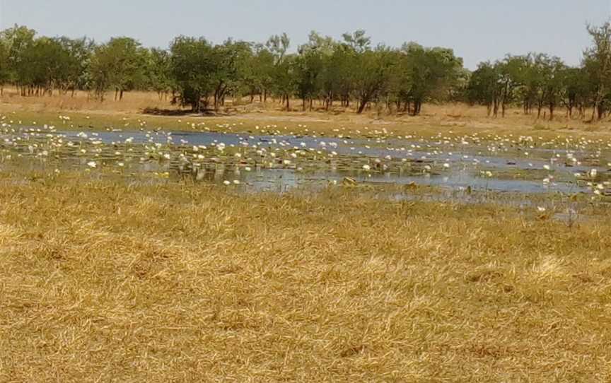 Mutton Hole Wetlands Conservation Park, Normanton, QLD