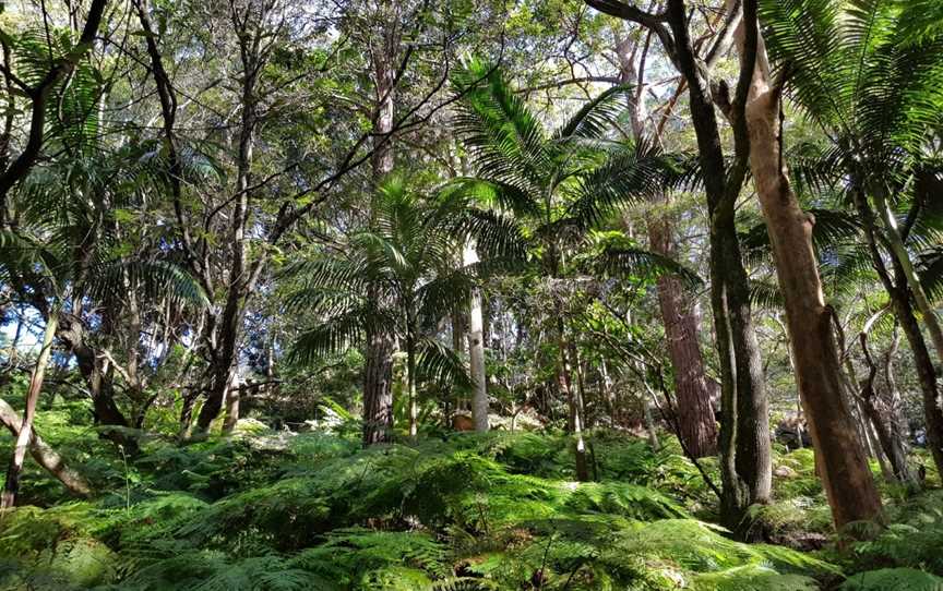 Cooper Park, Bellevue Hill, NSW