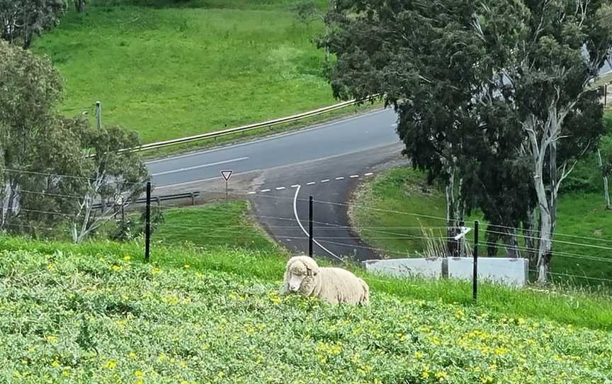 Mickle Lookout, Casterton, VIC