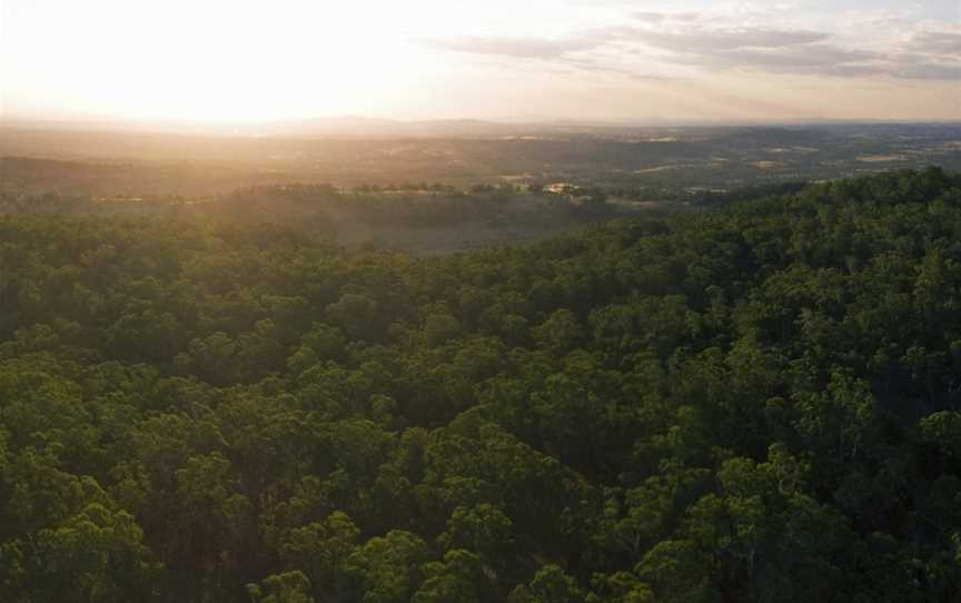 Mount Alexander, Harcourt, VIC