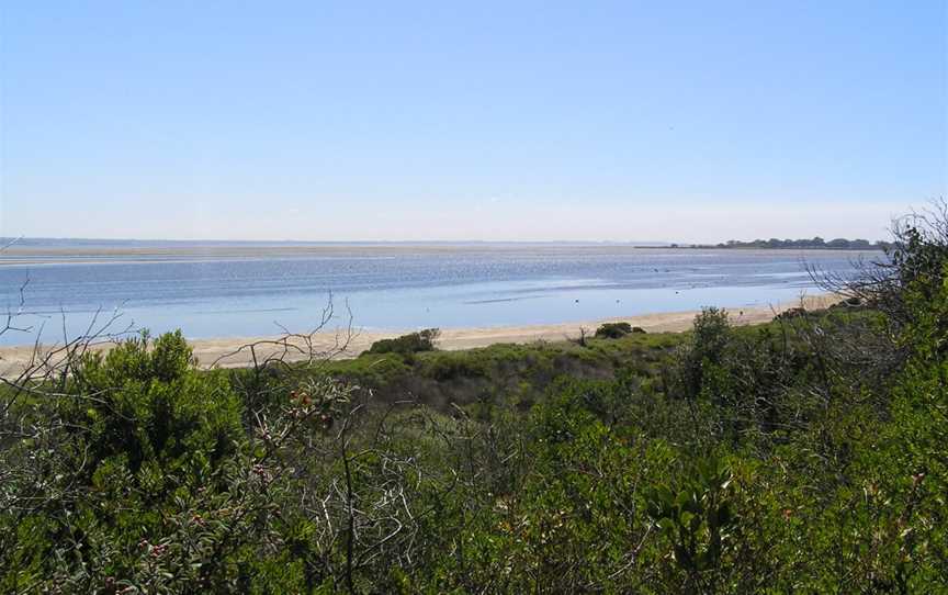 Swan Bay, Queenscliff, VIC