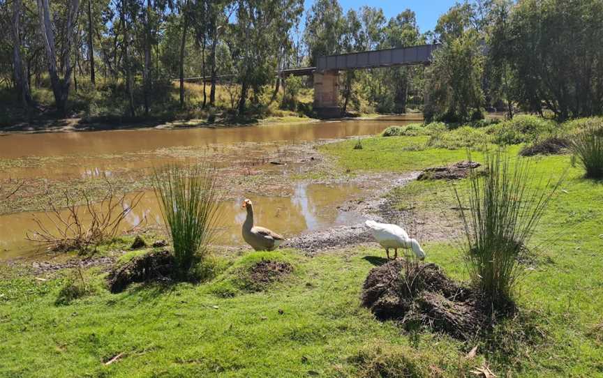 Dogwood Creek Walking Track, Miles, QLD