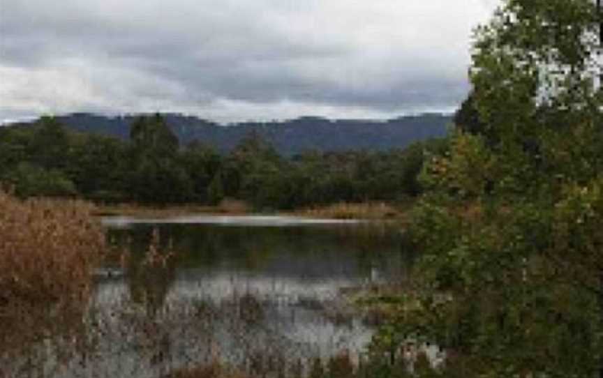 Hull Road Wetlands, Lilydale, VIC