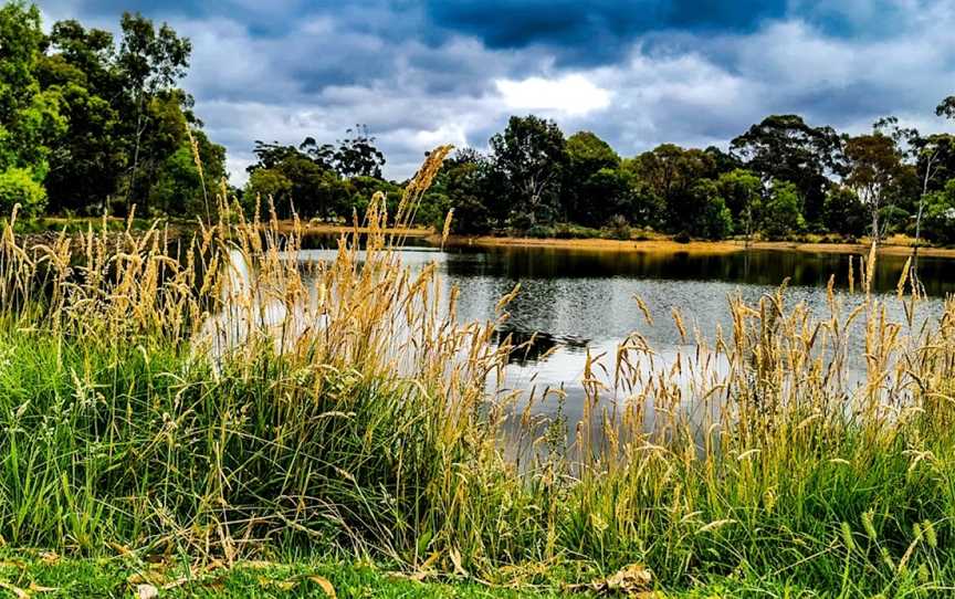 Lake Tom Thumb, Eaglehawk, VIC