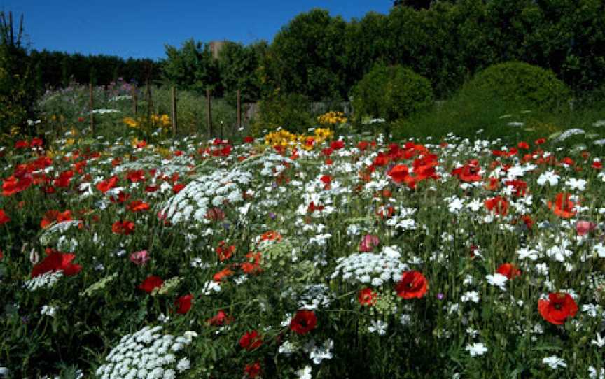 Lambley Gardens & Nursery, Ascot, VIC