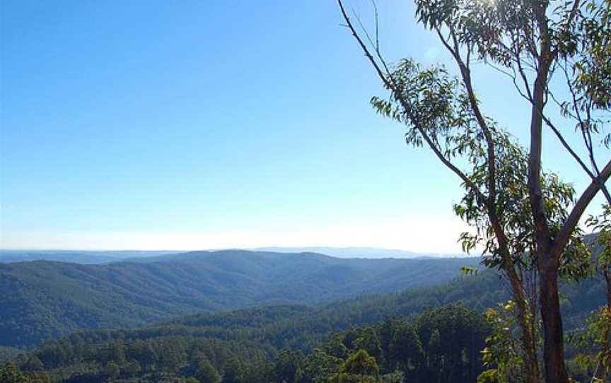 Noojee Picnic Grounds, Noojee, VIC