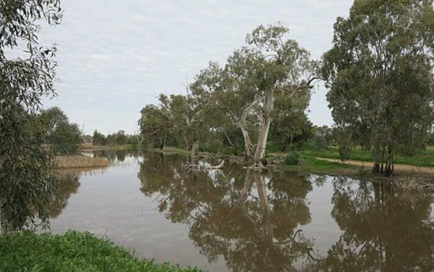 Tiger Bay Wetlands, Warren, NSW