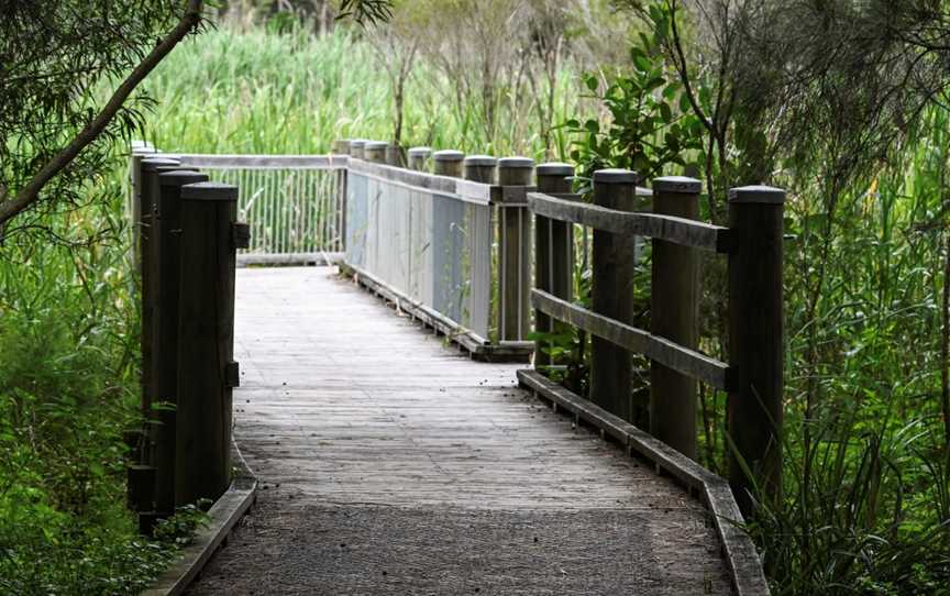 Warriewood Wetlands, Warriewood, NSW