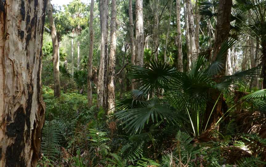 Wyrrabalong National Park, Magenta, NSW