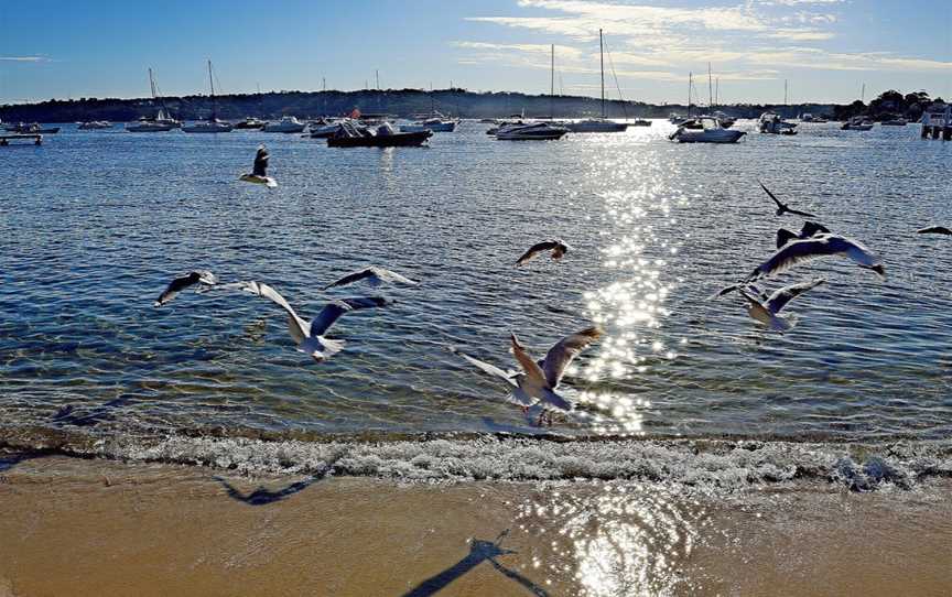 Gibsons Beach, Vaucluse, NSW