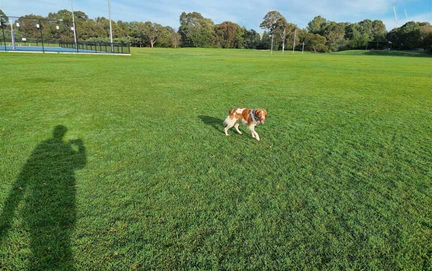 Merri Park, Northcote, VIC