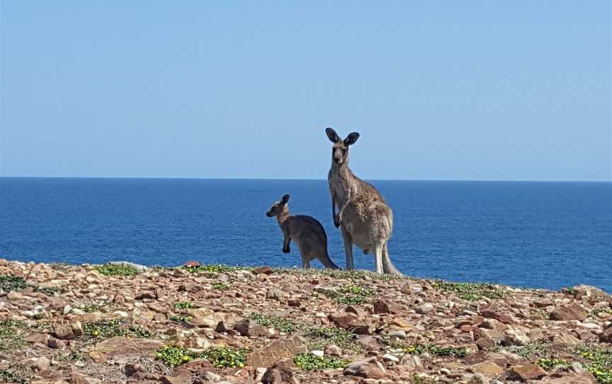 Moonee Beach Nature Reserve, Moonee Beach, NSW