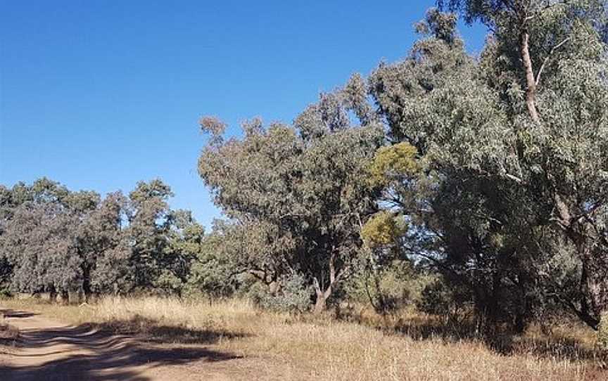 Quilpie River Walk, Quilpie, QLD