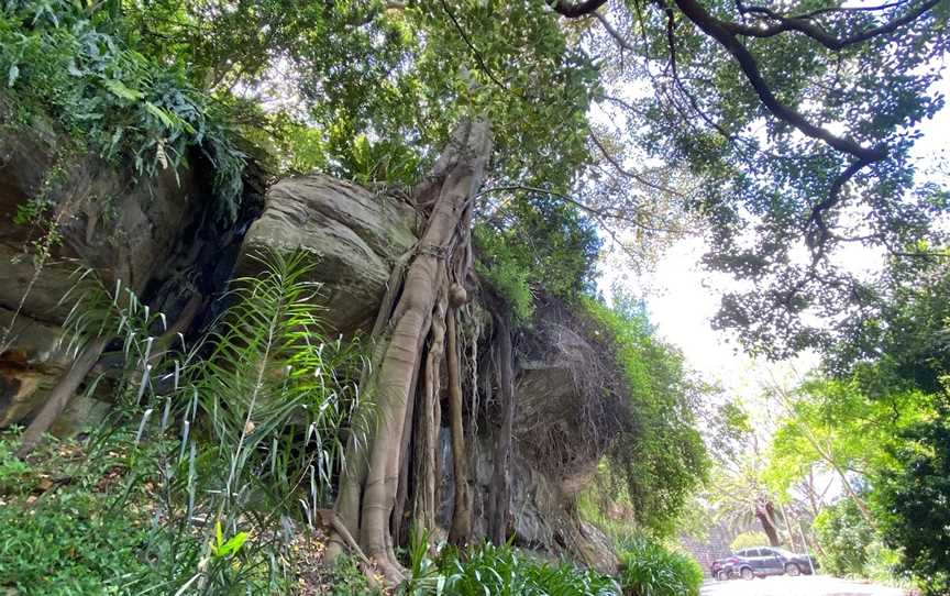 Watt Park, Lavender Bay, NSW