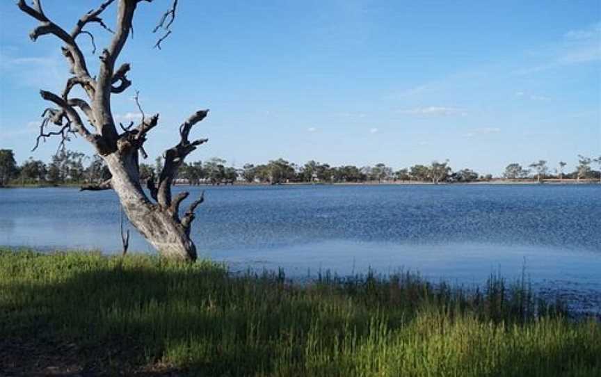 Wooroonook Lakes, Charlton, VIC