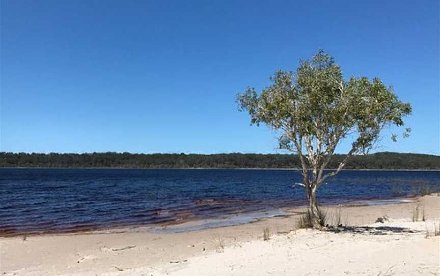 Boomanjin lake, K'gari, QLD