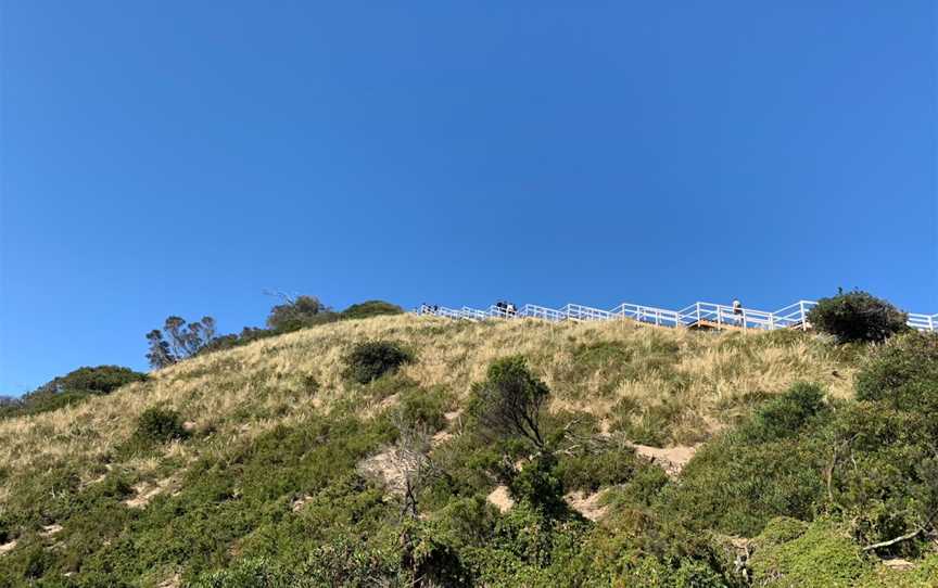 Bruny Island Neck Game Reserve, Great Bay, TAS