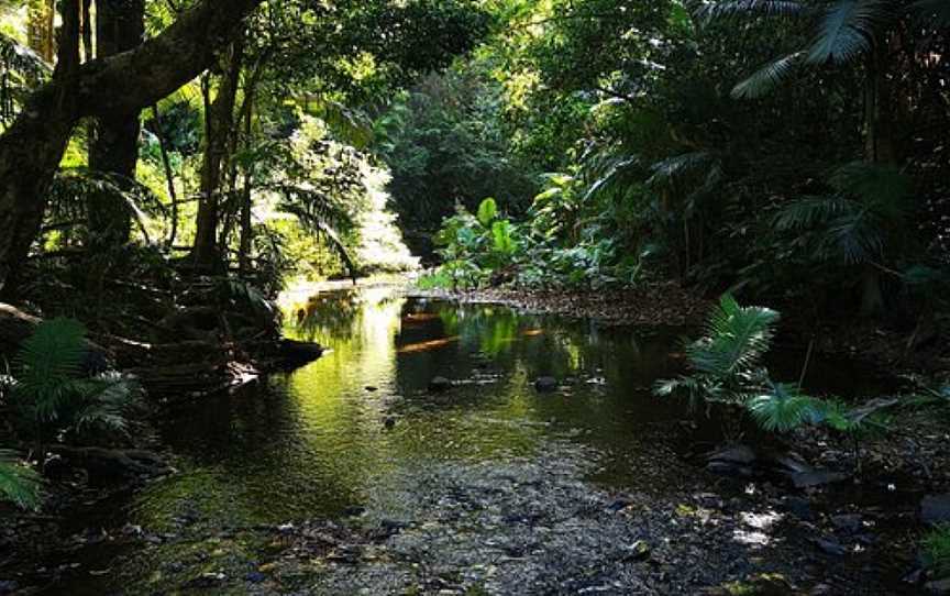 Dreaming Trail, Mission Beach, QLD