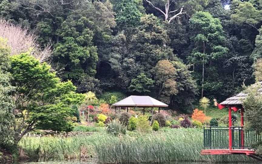 Illawarra Rhododendron Garden, Wollongong, NSW