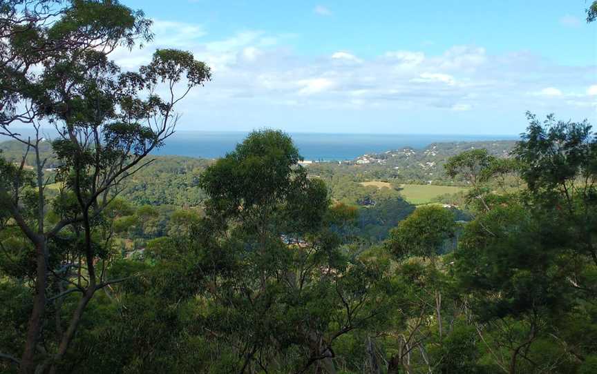 Kincumba Mountain Reserve, Kincumber, NSW