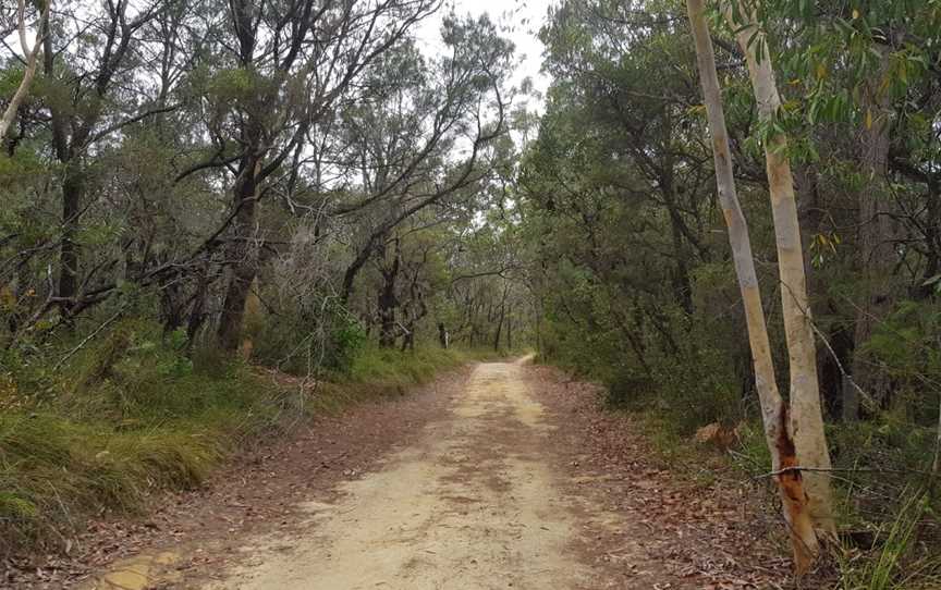 Kincumba Mountain Reserve, Kincumber, NSW