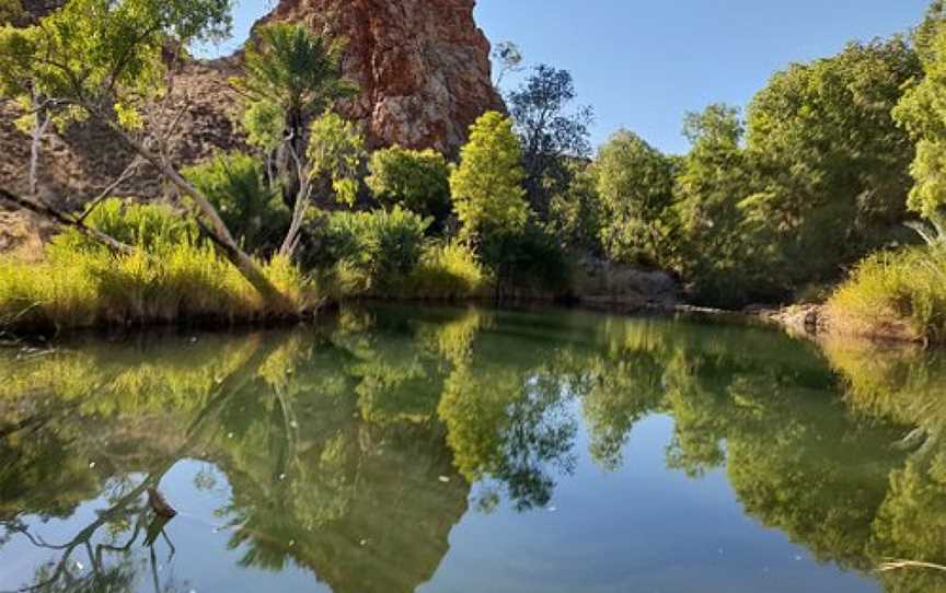 Palm Springs Nature Reserve, Halls Creek, WA