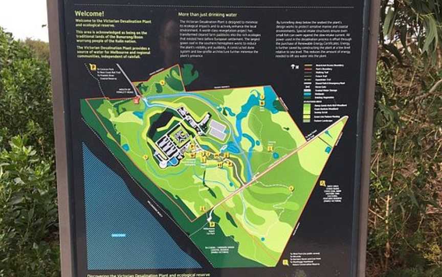 Victorian Desal Plant Ecological Reserve, Wonthaggi, VIC