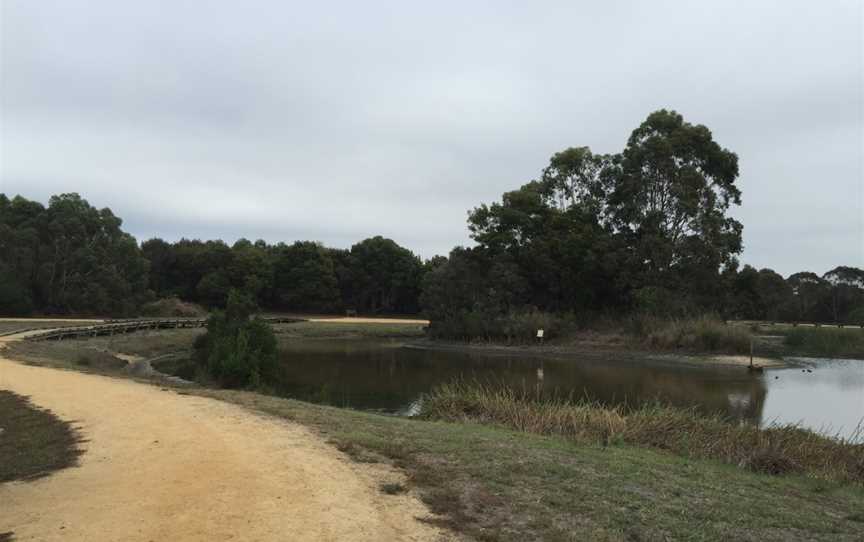 Wonthaggi Wetlands Reserve, Wonthaggi, VIC