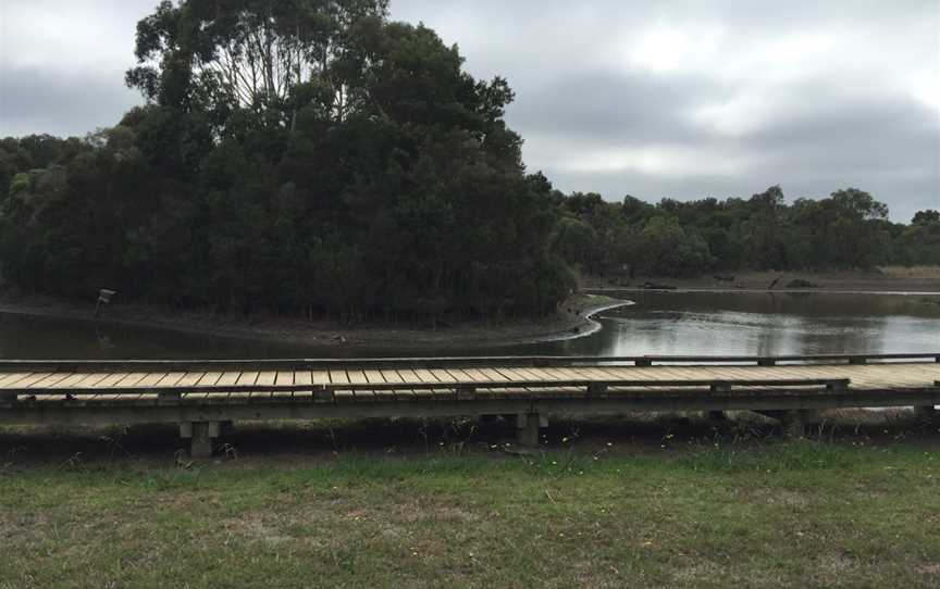 Wonthaggi Wetlands Reserve, Wonthaggi, VIC