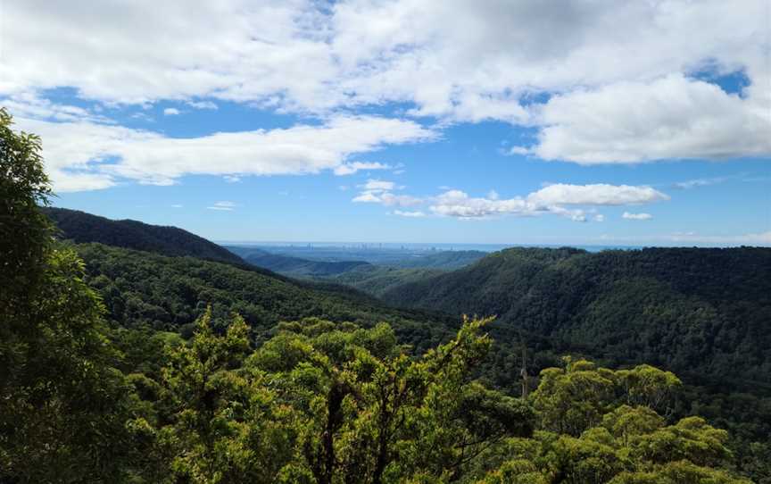 Wunburra Lookout, Springbrook, QLD