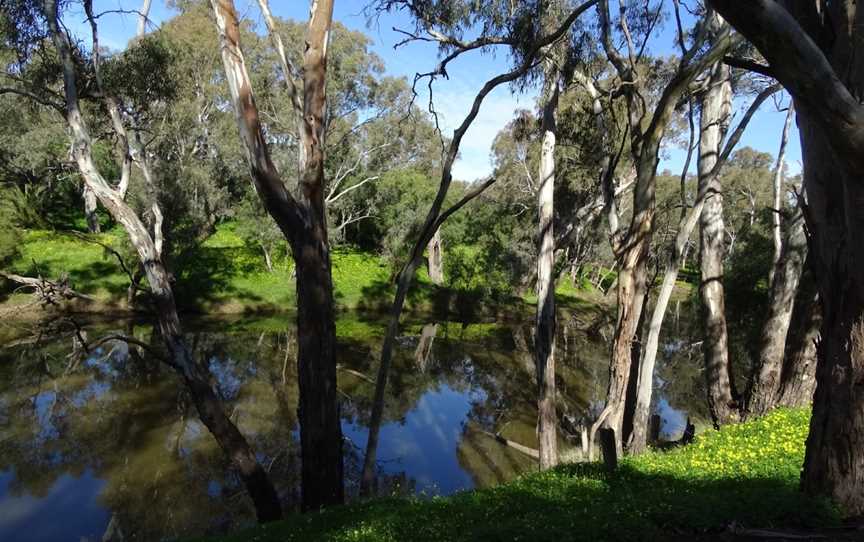 Campaspe River Reserve, Rochester, VIC