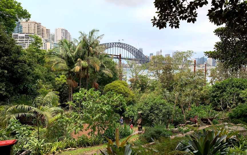 Clark Park, Milsons Point, NSW