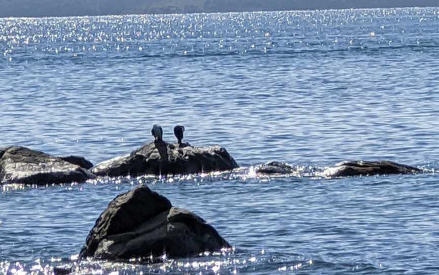 Hinsby Beach, Taroona, TAS