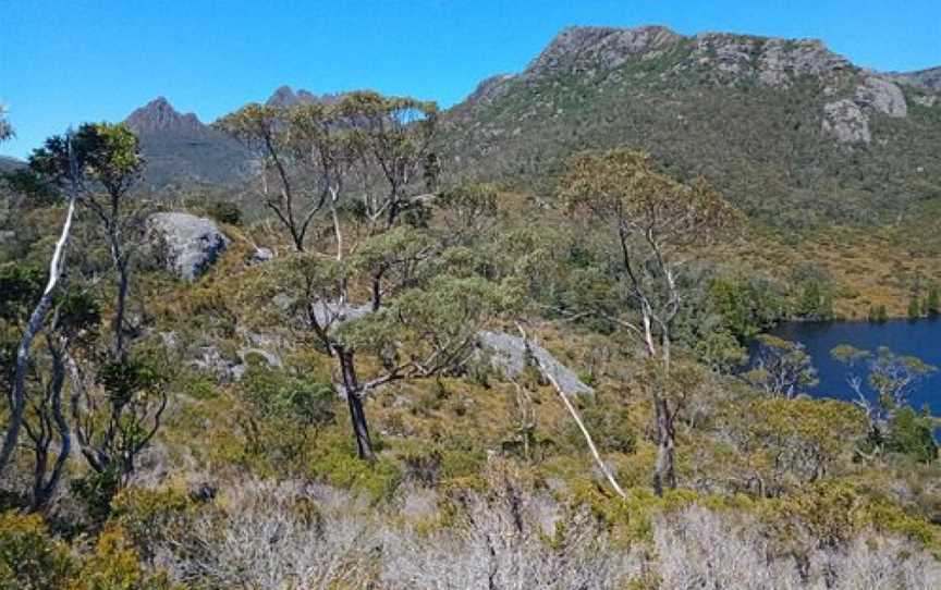 Lake Lilla Track, Cradle Mountain-Lake St. Clair National Park, TAS