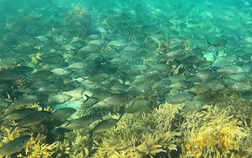 Smooth Pool, Streaky Bay, SA