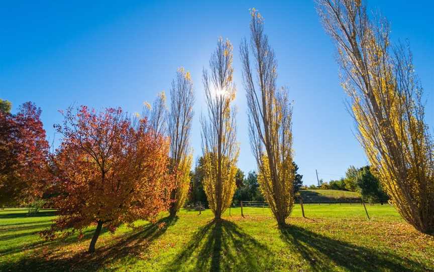 Taradale Mineral Springs Reserve, Taradale, VIC