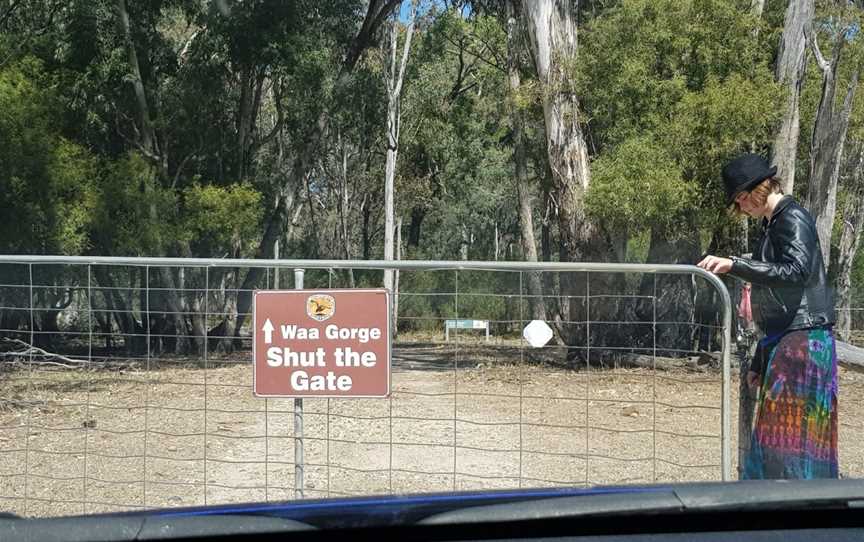 Waa Gorge, Moree, NSW