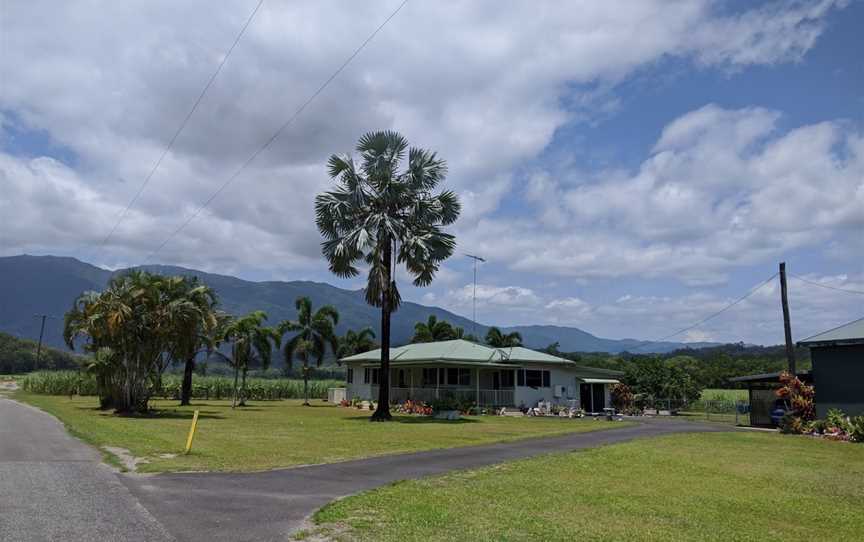 Whyanbeel Arboretum, Whyanbeel, QLD