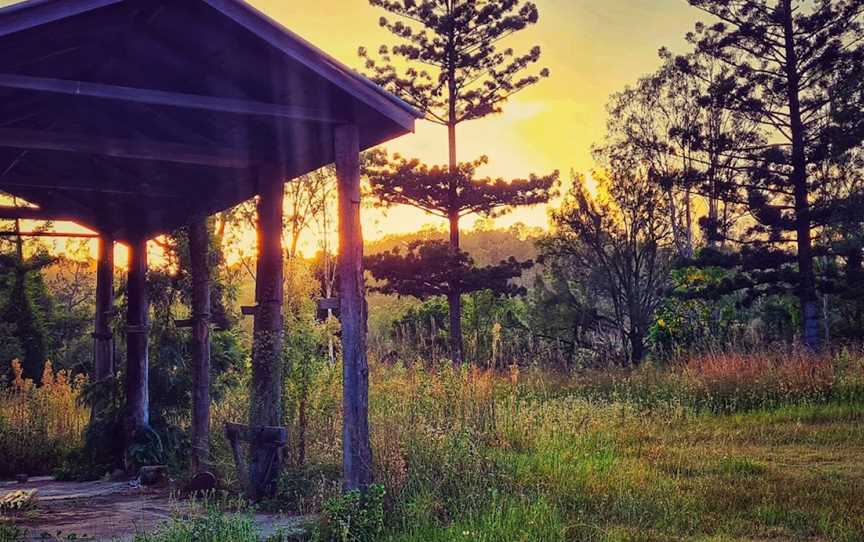 Brooyar State Forest, Gympie, QLD