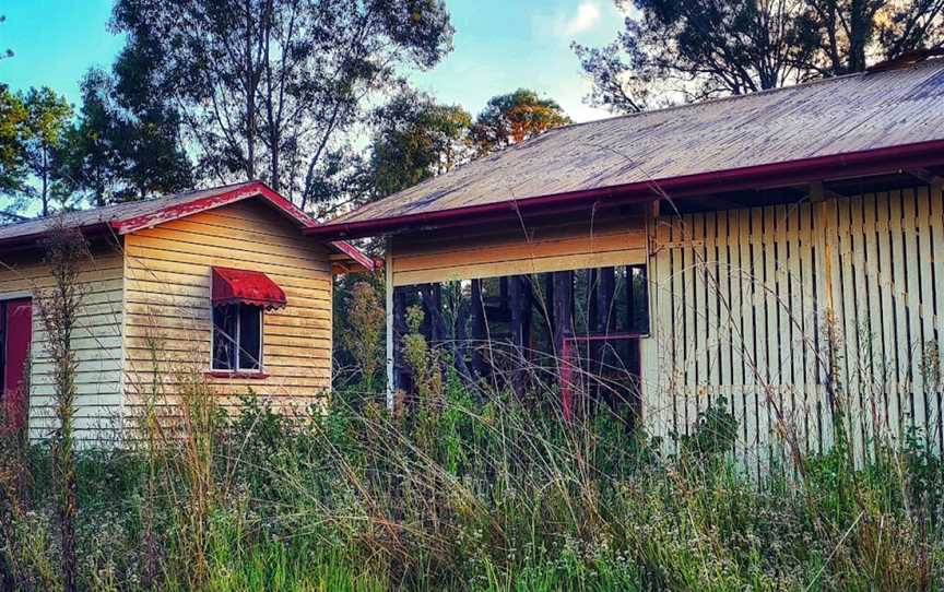 Brooyar State Forest, Gympie, QLD