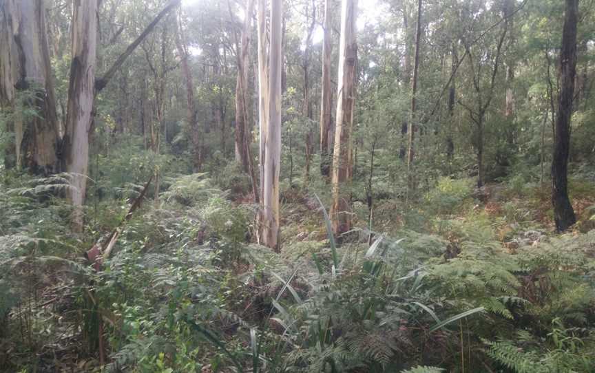 Crossover Regional Park, Crossover, VIC