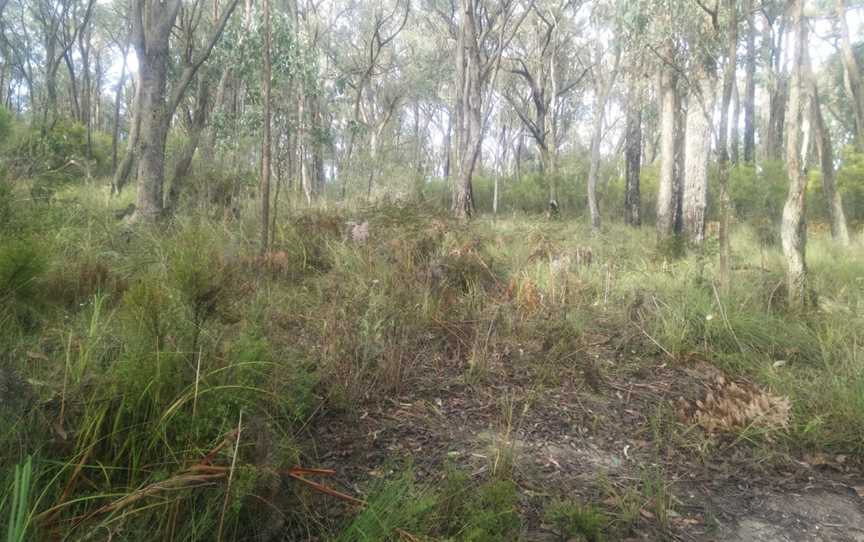 Crossover Regional Park, Crossover, VIC