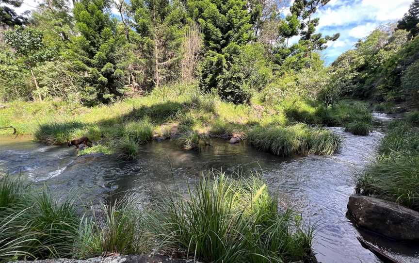 Denham Scenic Reserve, Beechmont, QLD