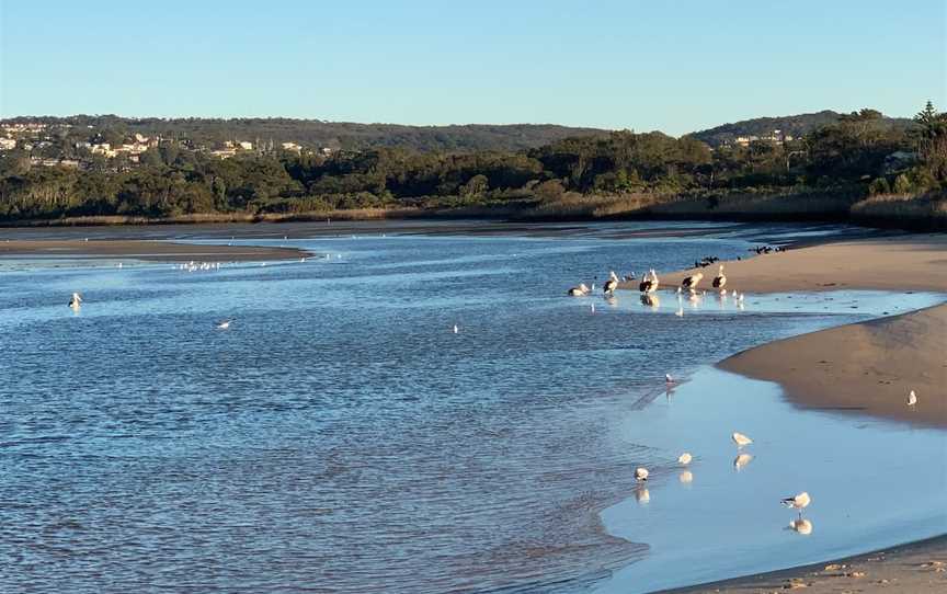 Dee Why Lagoon, Dee Why, NSW