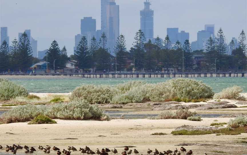 Doug Grant Reserve, Altona, VIC