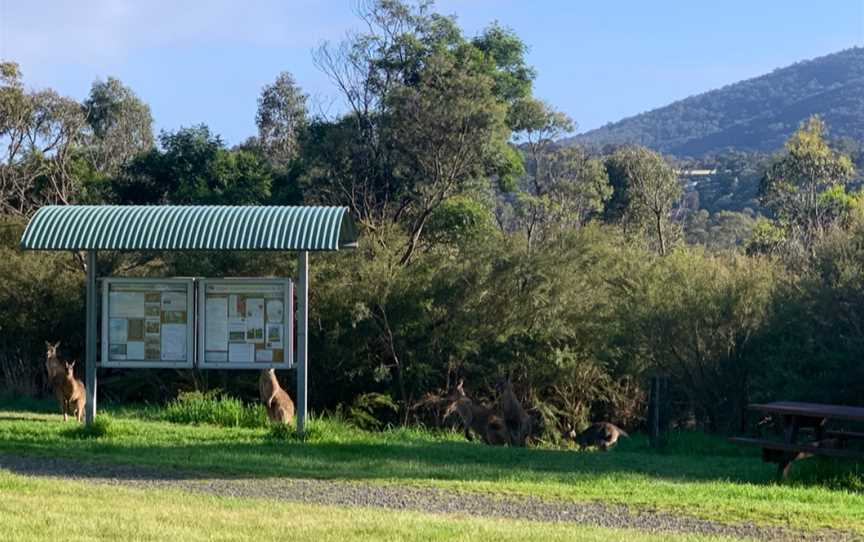 Glenfern Valley Bushlands, Upwey, VIC