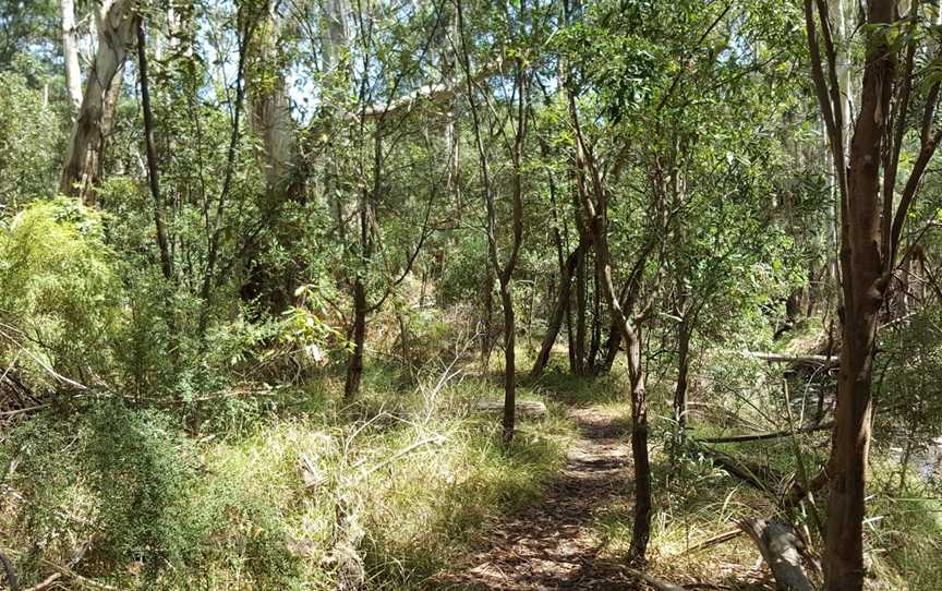 Glenfern Valley Bushlands, Attractions in Upwey