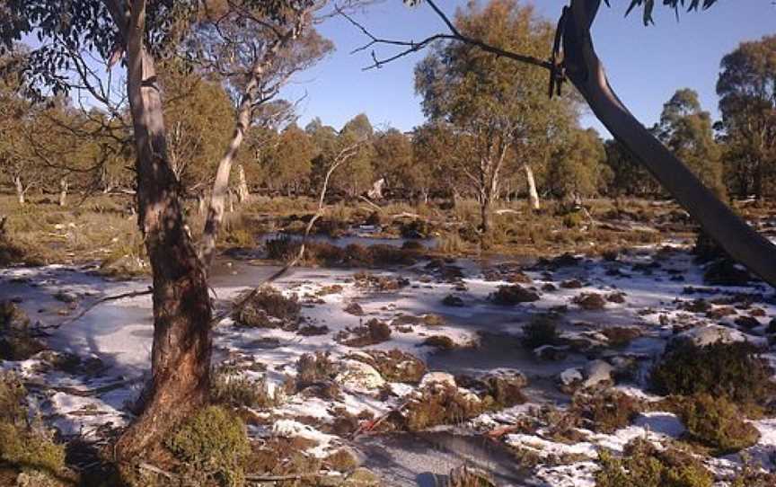 Great Western Tiers Conservation Area, Poatina, TAS